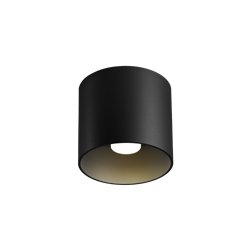 Wever & Ducré Ray 1.0 PAR16 Deckenlampe