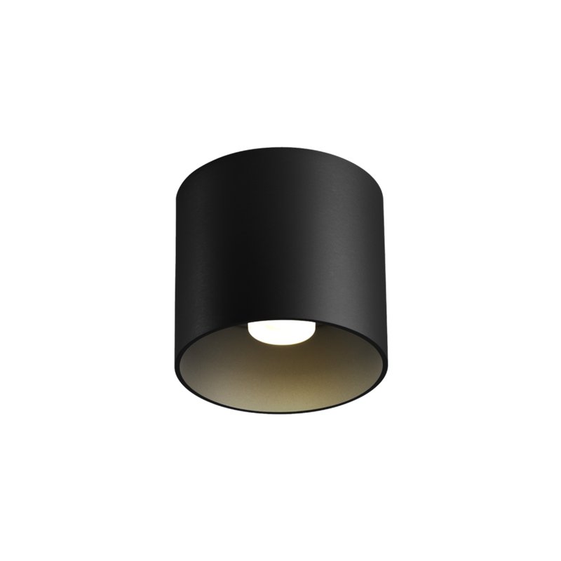 Wever & Ducré Ray 1.0 PAR16 Ceiling lamp