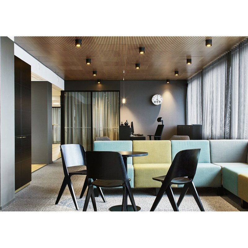 Wever & Ducré Ray 1.0 PAR16 Ceiling lamp