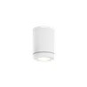 Wever & Ducré Tube 1.0 PAR16 Ceiling lamp
