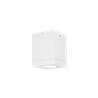 Wever & Ducré Tube Carré 1.0 PAR16 Ceiling lamp