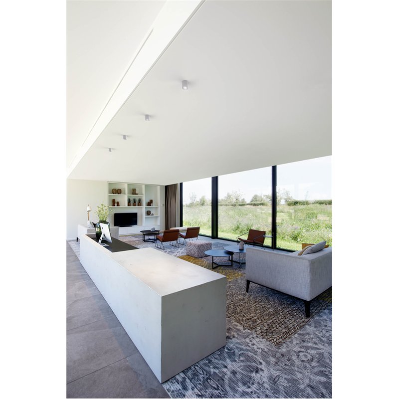 Wever & Ducré Ray Mini 1.0 PAR16 Ceiling lamp