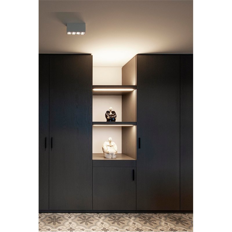 Wever & Ducré Pirro Spot Surface 4.0 Ceiling lamp