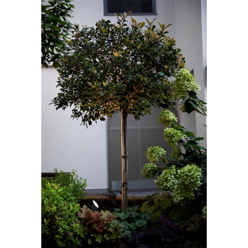 Wever & Ducré Stipo 2.0 Bodenlampe