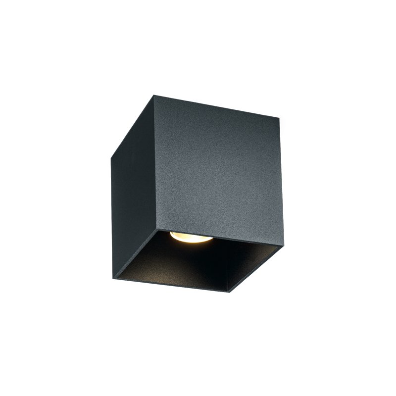 Wever & Ducré Box Outdoor 1.0 Deckenlampe