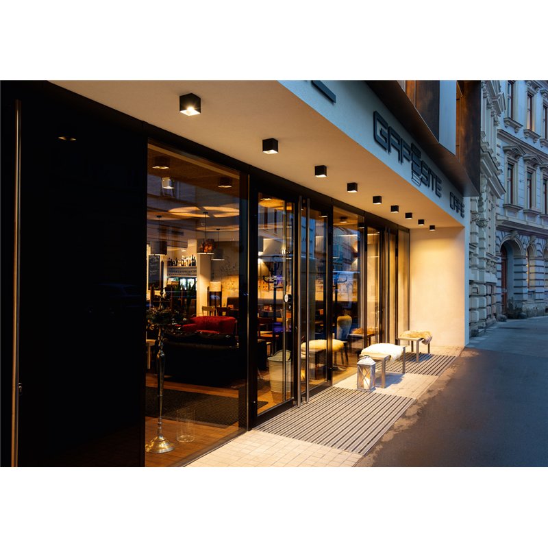 Wever & Ducré Box Outdoor 1.0 Ceiling lamp