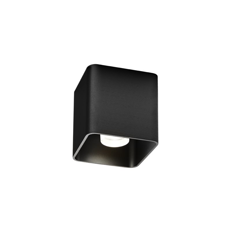 Wever & Ducré Docus 1.0 LED Ceiling lamp