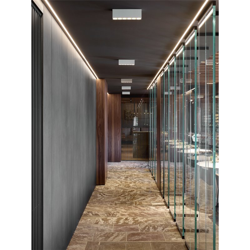 Wever & Ducré Pirro Petit Surface 12.0 Deckenlampe