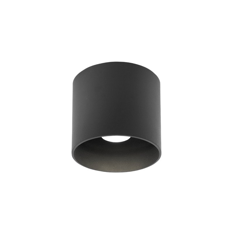 Wever & Ducré Ray Outdoor 1.0 Ceiling lamp