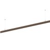 Wever & Ducré Strex Track Profile Surf / Susp Q 2M
