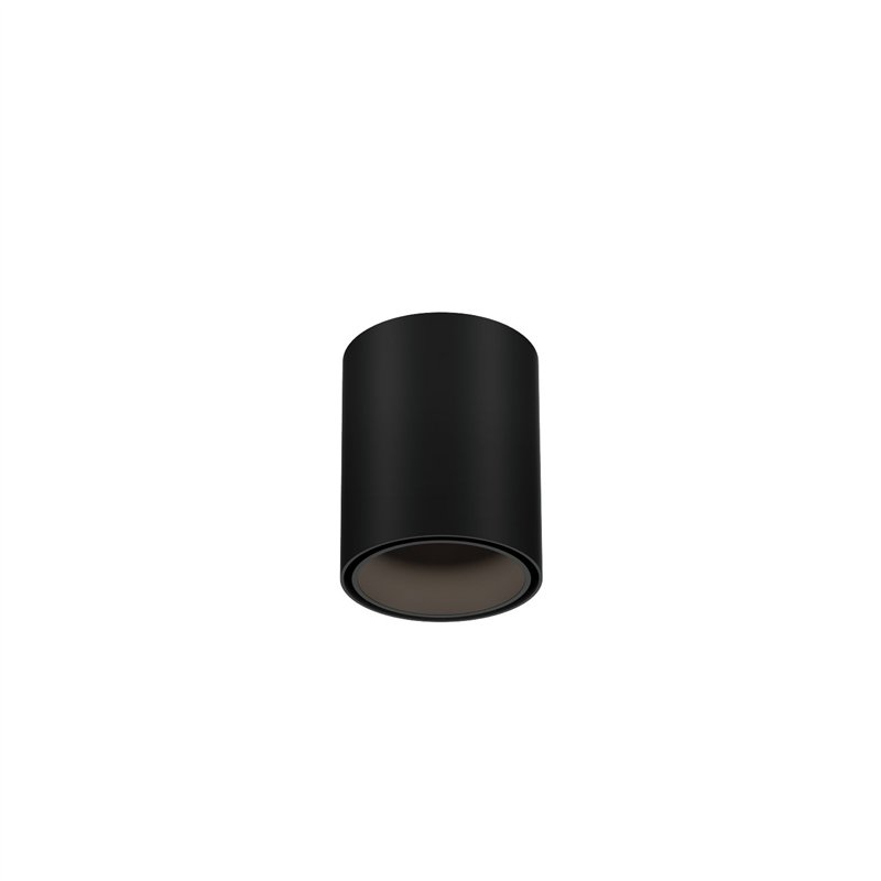 Wever & Ducré Ray Mini 1.0 LED Ceiling lamp