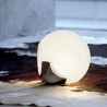 Next ML 1 Easy NEXT0021
