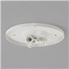Astro 3-Way Plate | Deckenlampe