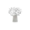 Buy Slamp CLIZIA online? Fast & safe delivery!