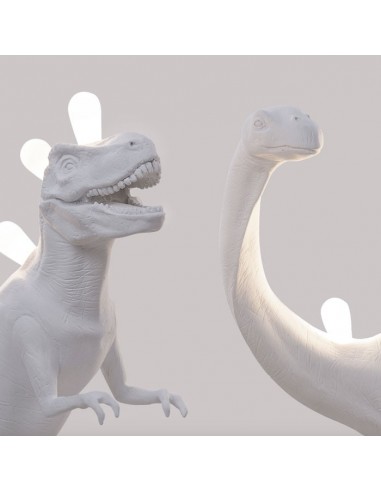 Platteland breedtegraad lont Buy SELETTI Dinosaur Lamp online? Fast and safe delivery!