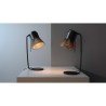 SECTO DESIGN Petite 4620 Table lamp